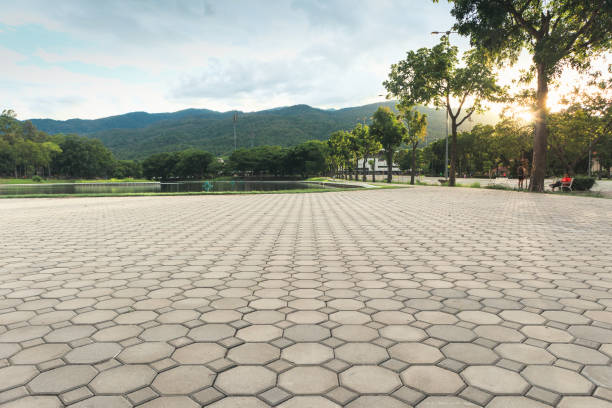 Cobblestone Driveway Pavers in Lake Of The Woods, VA